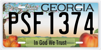 GA license plate PSF1374