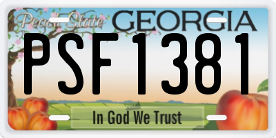 GA license plate PSF1381