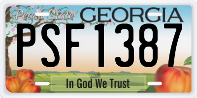 GA license plate PSF1387