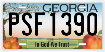 GA license plate PSF1390