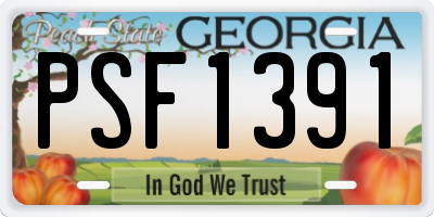 GA license plate PSF1391