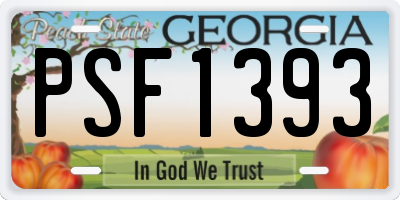 GA license plate PSF1393