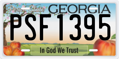 GA license plate PSF1395