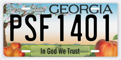 GA license plate PSF1401