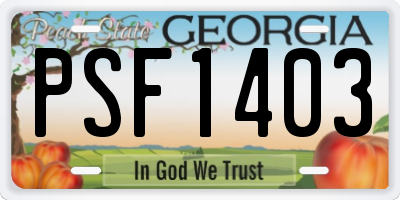 GA license plate PSF1403