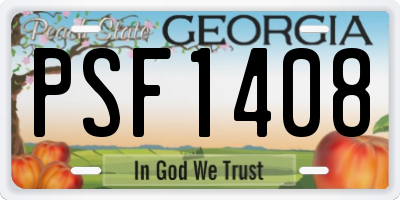 GA license plate PSF1408