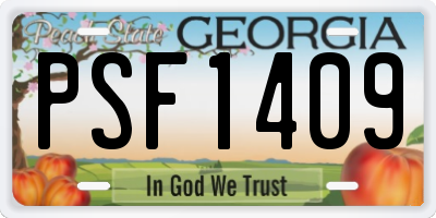 GA license plate PSF1409
