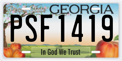 GA license plate PSF1419