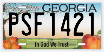 GA license plate PSF1421