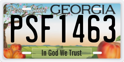 GA license plate PSF1463