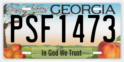 GA license plate PSF1473