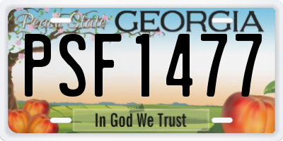 GA license plate PSF1477