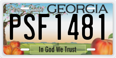 GA license plate PSF1481