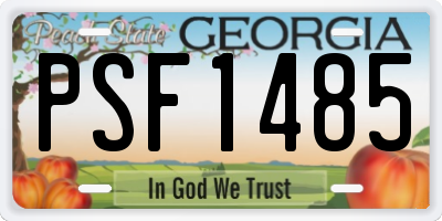 GA license plate PSF1485