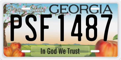 GA license plate PSF1487