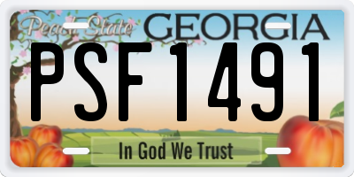 GA license plate PSF1491