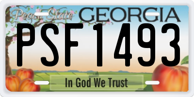 GA license plate PSF1493