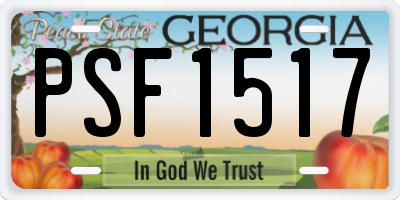 GA license plate PSF1517
