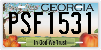 GA license plate PSF1531