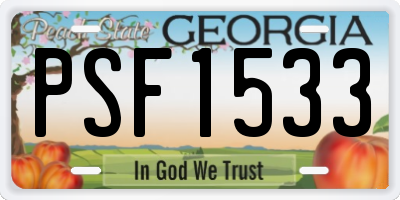 GA license plate PSF1533