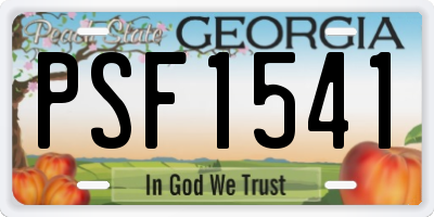 GA license plate PSF1541