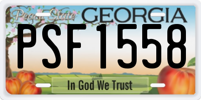 GA license plate PSF1558
