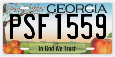 GA license plate PSF1559