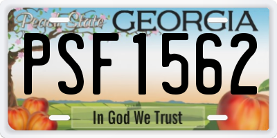 GA license plate PSF1562