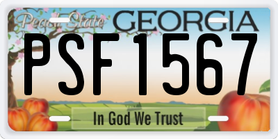 GA license plate PSF1567