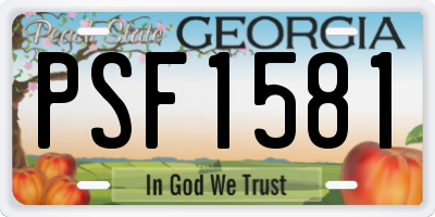 GA license plate PSF1581
