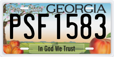 GA license plate PSF1583