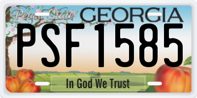 GA license plate PSF1585
