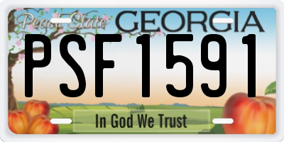 GA license plate PSF1591