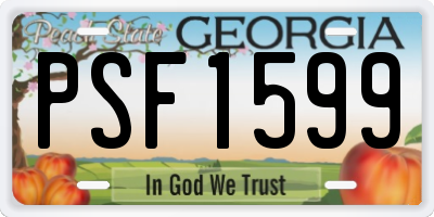 GA license plate PSF1599