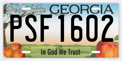 GA license plate PSF1602