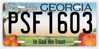 GA license plate PSF1603