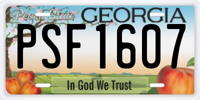 GA license plate PSF1607