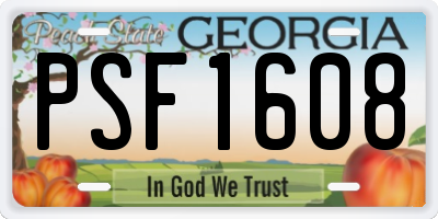 GA license plate PSF1608