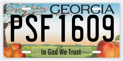 GA license plate PSF1609