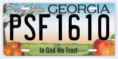 GA license plate PSF1610