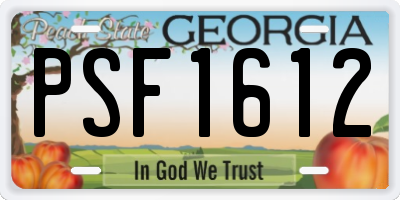 GA license plate PSF1612