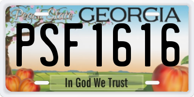 GA license plate PSF1616