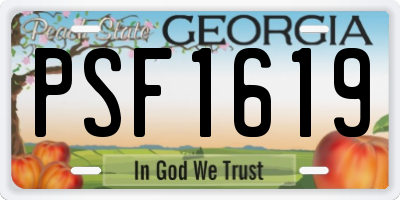 GA license plate PSF1619