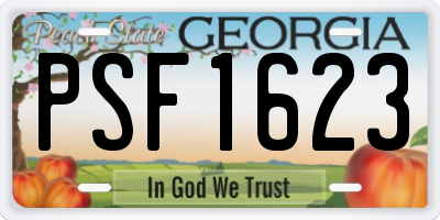 GA license plate PSF1623