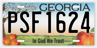 GA license plate PSF1624