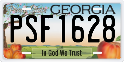 GA license plate PSF1628