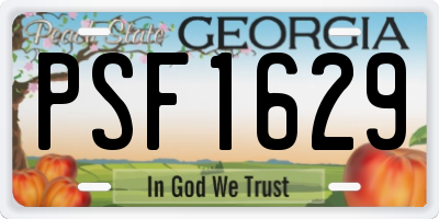 GA license plate PSF1629