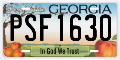 GA license plate PSF1630