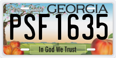 GA license plate PSF1635