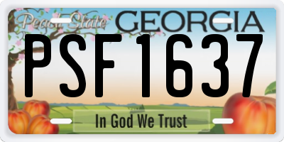 GA license plate PSF1637